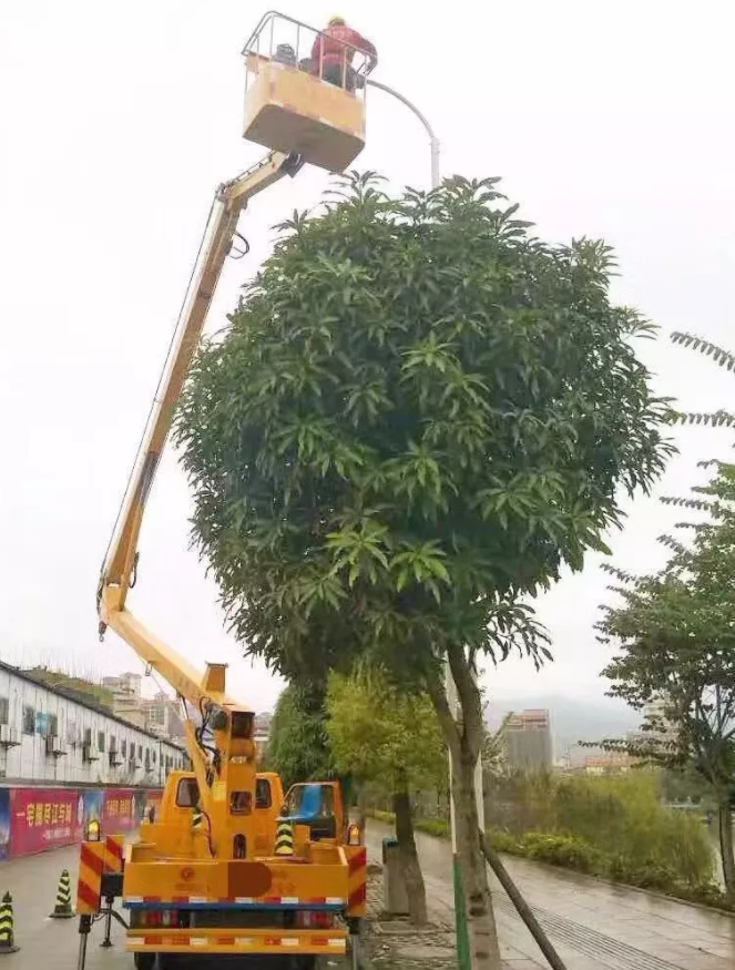 &#20122;&#26032;&#32593;&#31449;&#95;&#20122;&#26032;&#40;&#20013;&#22269;&#41;